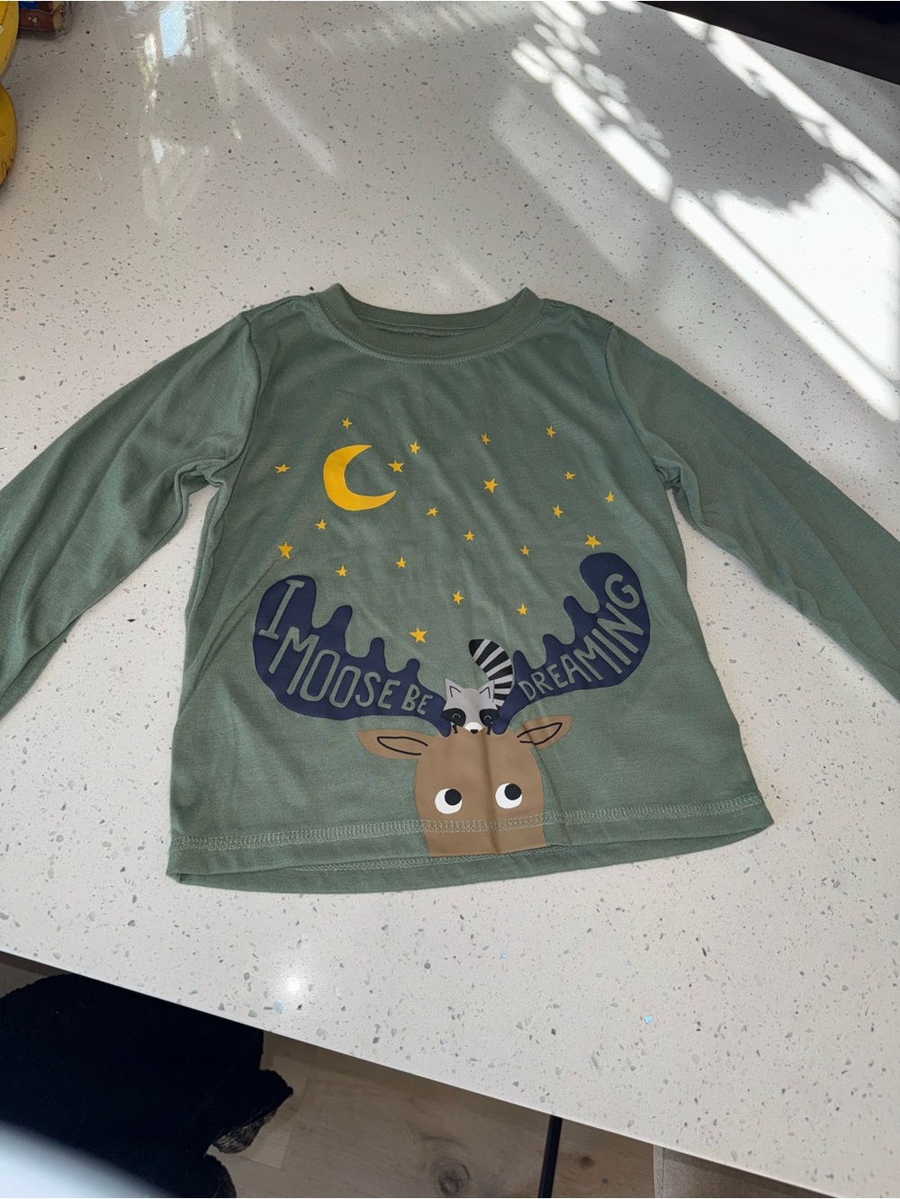 Kids Long Sleeve Moose Graphic Tee - Green